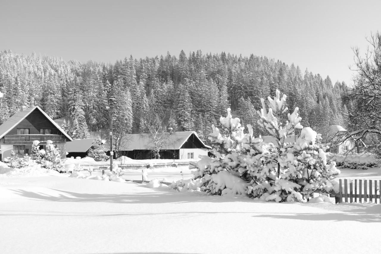 Stary Dom Guest house *